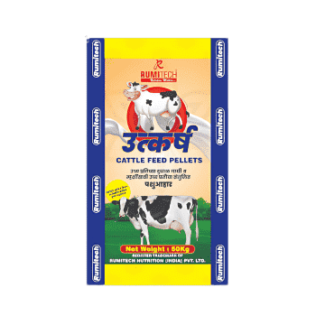 packaging design portfolio